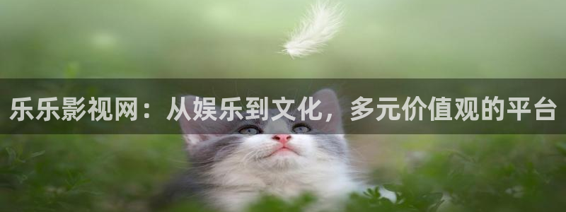 第七影院电视剧